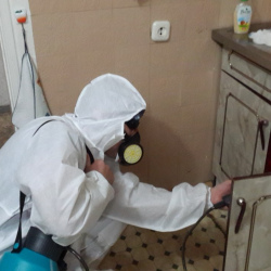 Дезинфекция от муравьев в квартире в Родниках